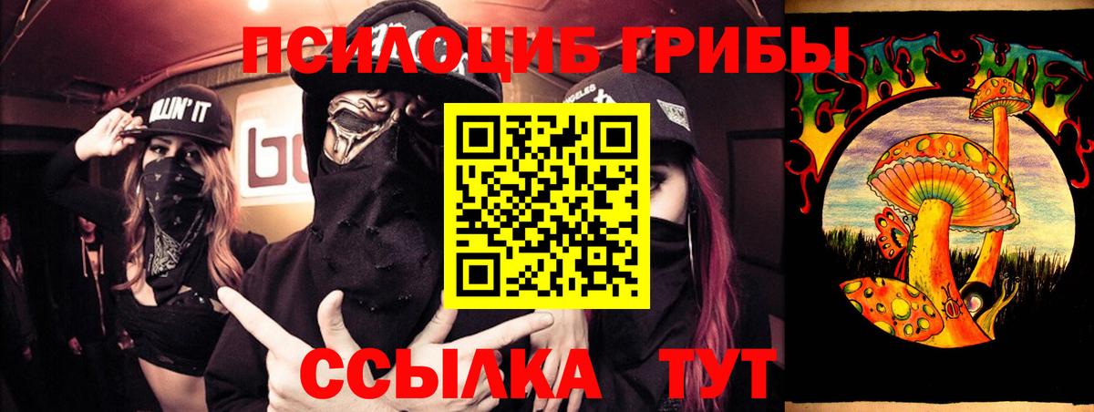 Благодарный  купить закладку  Вход с VPN  Псилоцибиновые грибы MAGIC MUSHROOMS 